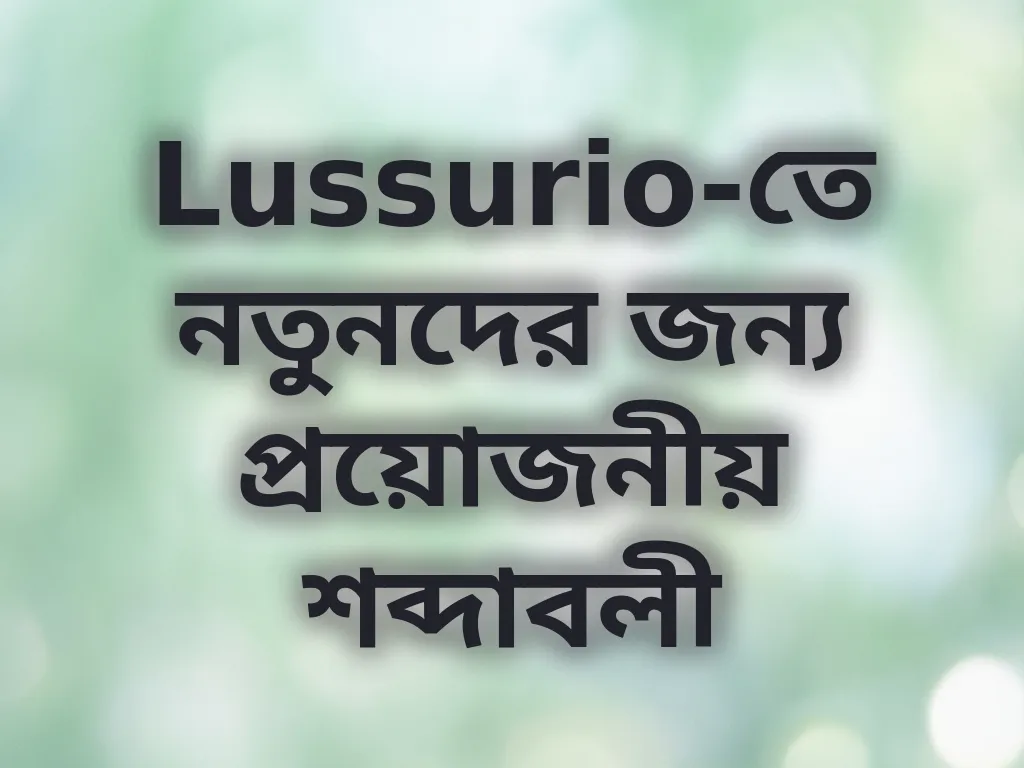 ক্যাসিনো শব্দাবলী নির্দেশিকা